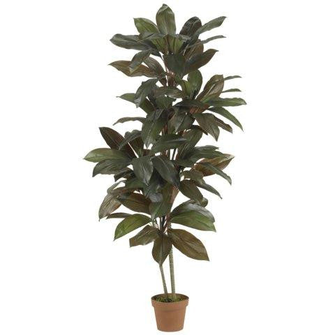 5 Ft Cordyline Silk Plant (Real Touch)