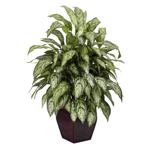 Silver Queen w-Decorative Planter Silk Plant