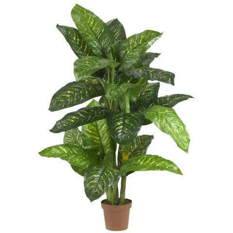 5 Ft Dieffenbachia Silk Plant (Real Touch)