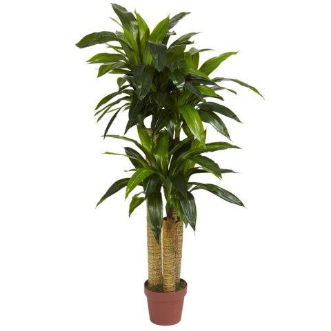 4 Ft Corn Stalk Dracaena Silk Plant (Real Touch)