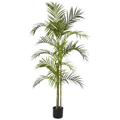 5 Ft Areca Palm Silk Tree