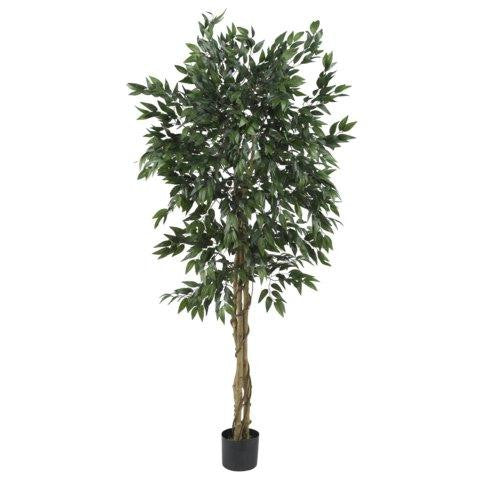 5 Ft Smilax Tree