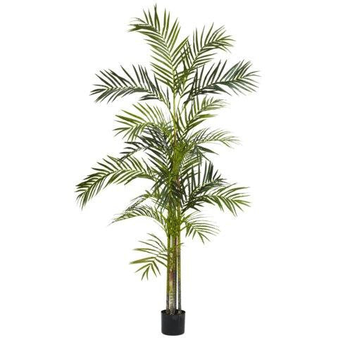 6 Ft Areca Palm Silk Tree