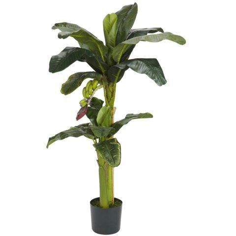 5 Ft+3 Ft Banana Silk Tree w-Bananas