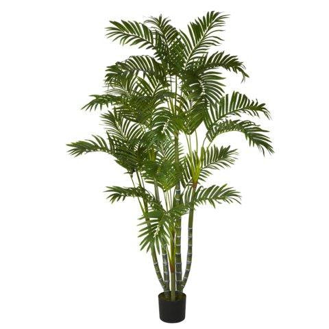 5 Ft Areca Silk Tree