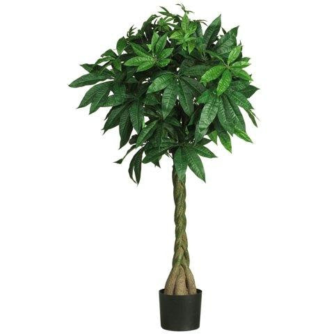 51 Inch Money  Silk Tree