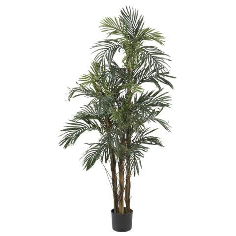 5 Ft Robellini Palm Silk Tree