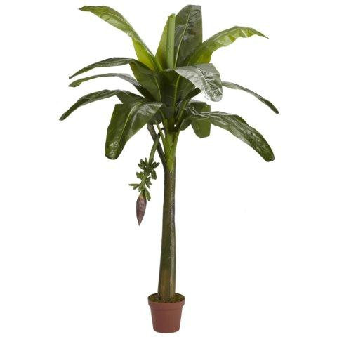 6 Ft Banana Silk Tree (Real Touch)