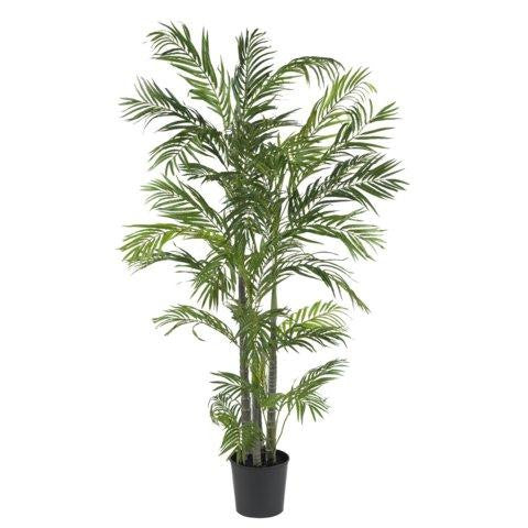 5 Ft Areca Silk Palm Tree