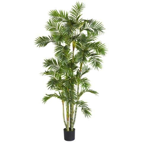 6 Ft Areca Palm Silk Tree