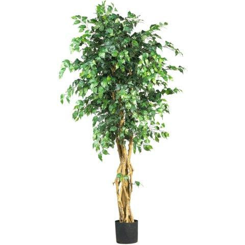 6 Ft  Palace Style Ficus Silk Tree