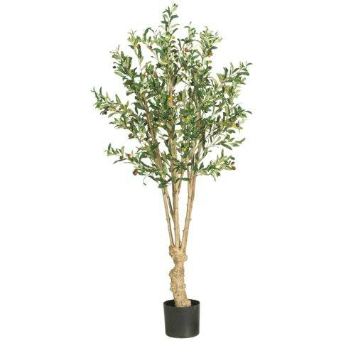 5 Ft Olive Silk Tree