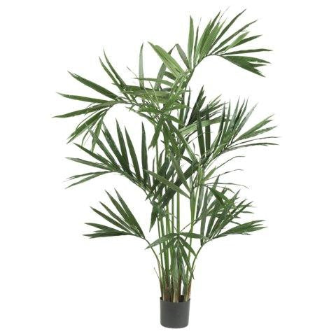 6 Ft Kentia Palm Silk Tree