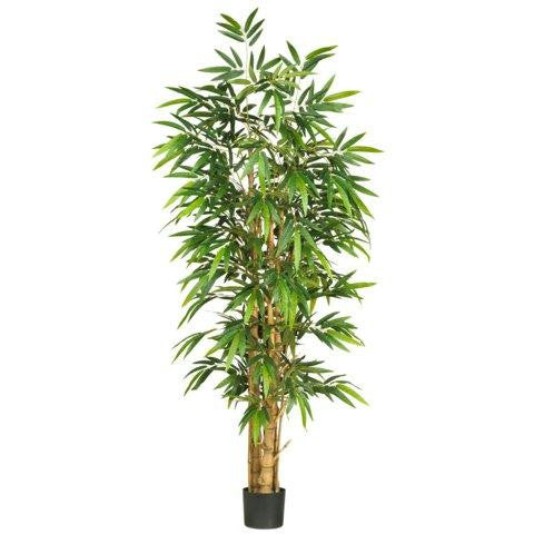 6 Ft Belly Bamboo Silk Tree