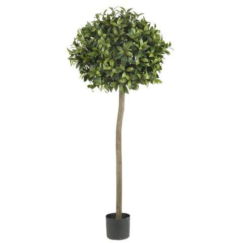 5 Ft Sweet Bay Ball Topiary Silk Tree