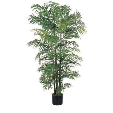 6 Ft Areca Silk Palm Tree