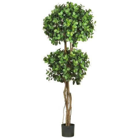 5.5 Ft Eucalyptus Double Ball Topiary Silk Tree