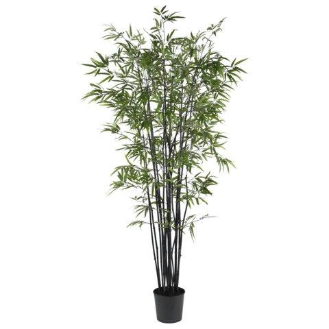 6.5 Ft Black Bamboo Silk Tree