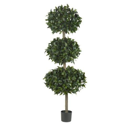 69 Inch Sweet Bay Triple Ball Tree