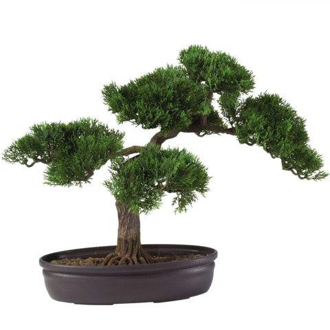 Cedar Bonsai 16 Inch Silk Plant