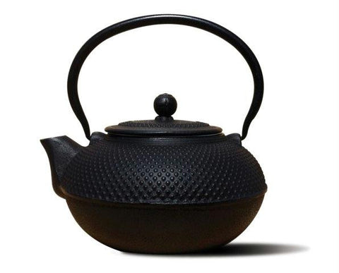 Matte Black Cast Iron Saga Teapot