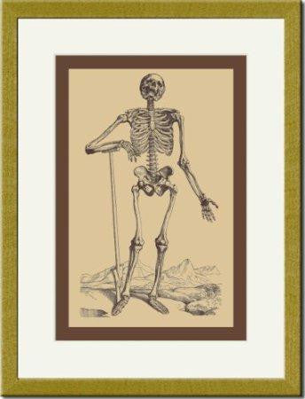 Skeleton with Shovel Gold Framed-Matted Print 17x23