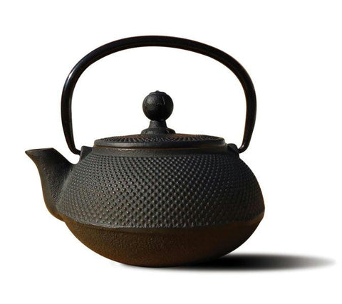 Matte Black Cast Iron Sapporo Teapot 20 Oz