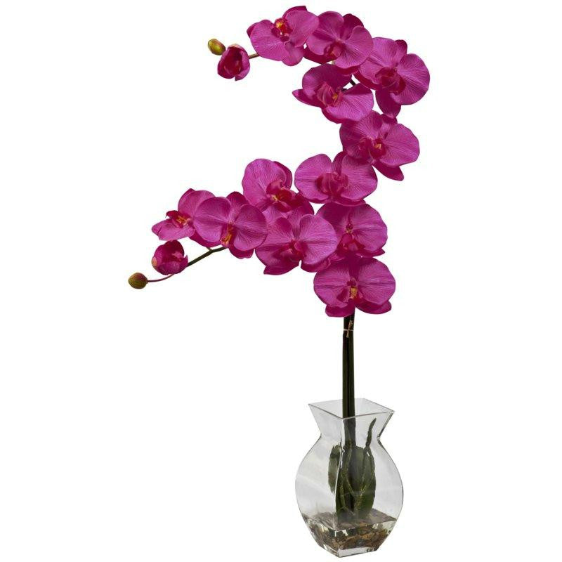 Beauty Phalaenopsis Orchid w-Vase Arrangement