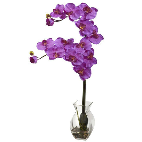 Orchid Phalaenopsis Orchid w-Vase Arrangement