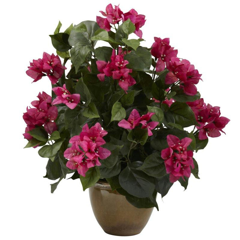 Bougainvillea w-Ceramic Vase