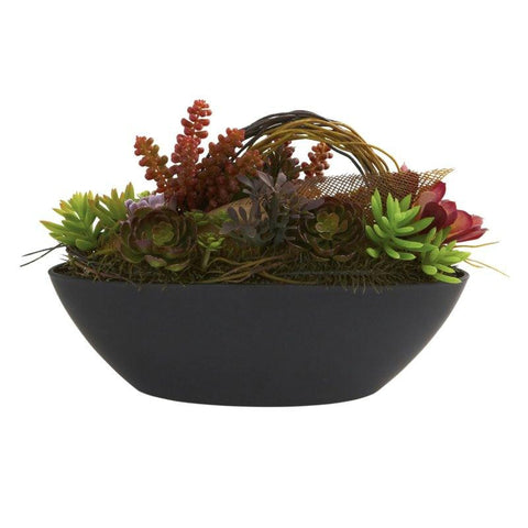 Mixed Succulent w-Oval Black Container