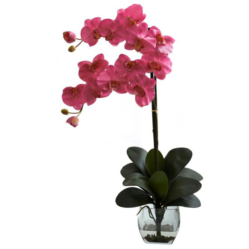 Dark Pink Double Phal Orchid w-Vase Arrangement