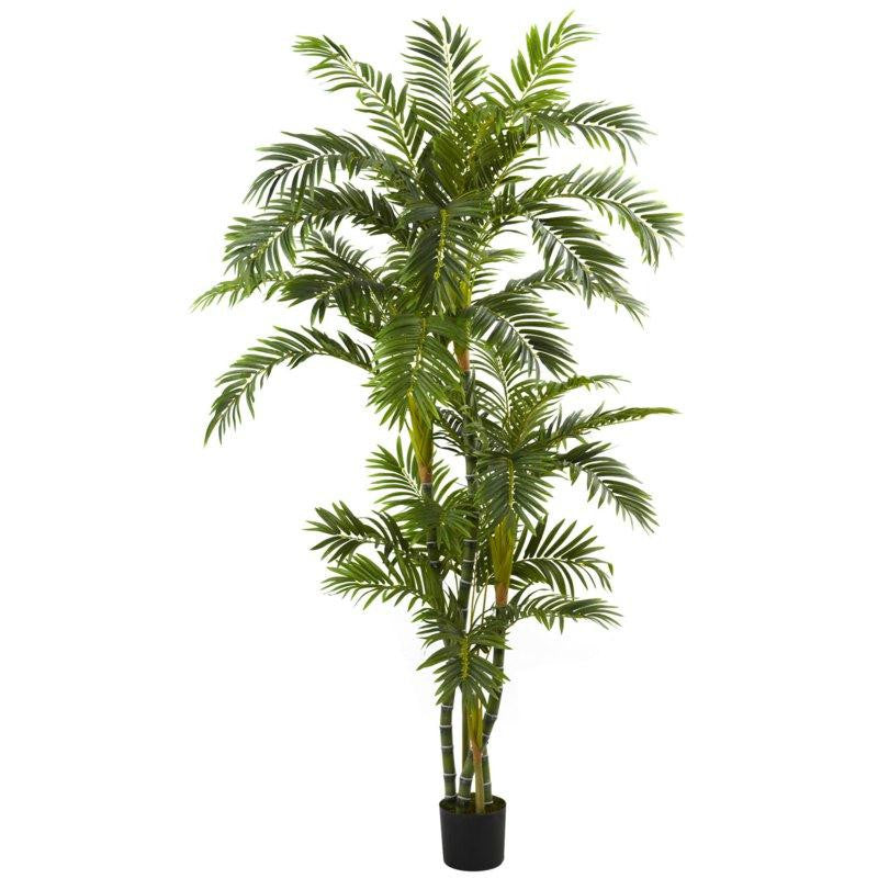 6Ft Curvy Parlor Palm Silk Tree