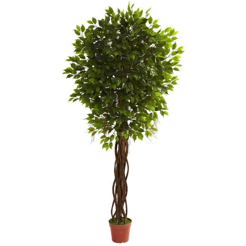 7.5Ft Ficus Tree UV Resistant (Indoor-Outdoor)