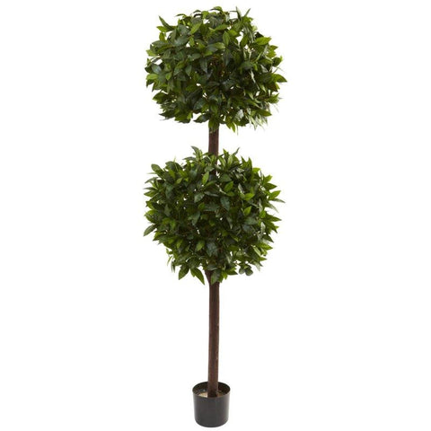 6Ft Sweet Bay Double Ball Topiary