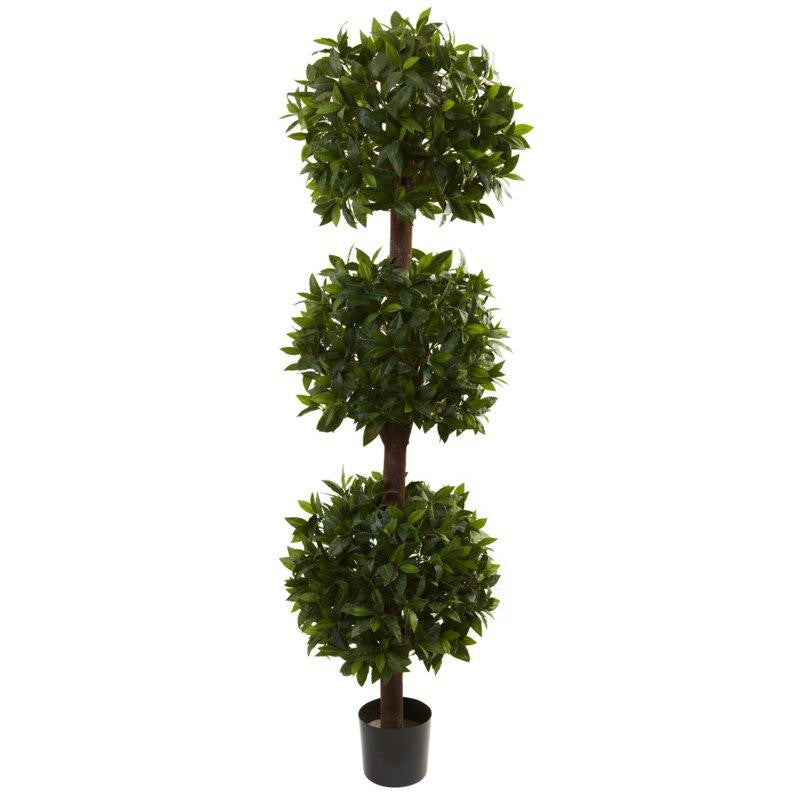 6.5Ft Sweet Bay Triple Ball Topiary