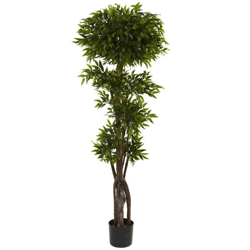 5Ft Ruscus Tree