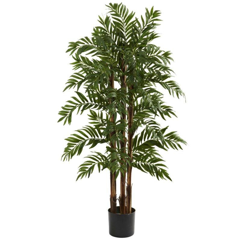 4Ft Parlour Palm Tree