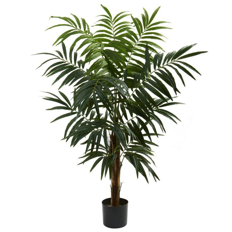 4.5Ft Bulb Areca Tree