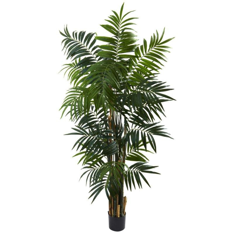 6Ft Bulb Areca Palm Tree