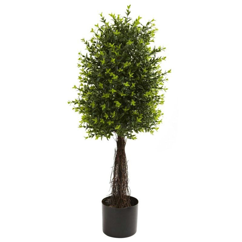 35Ft Ixora Topiary UV Resistant (Indoor-Outdoor)