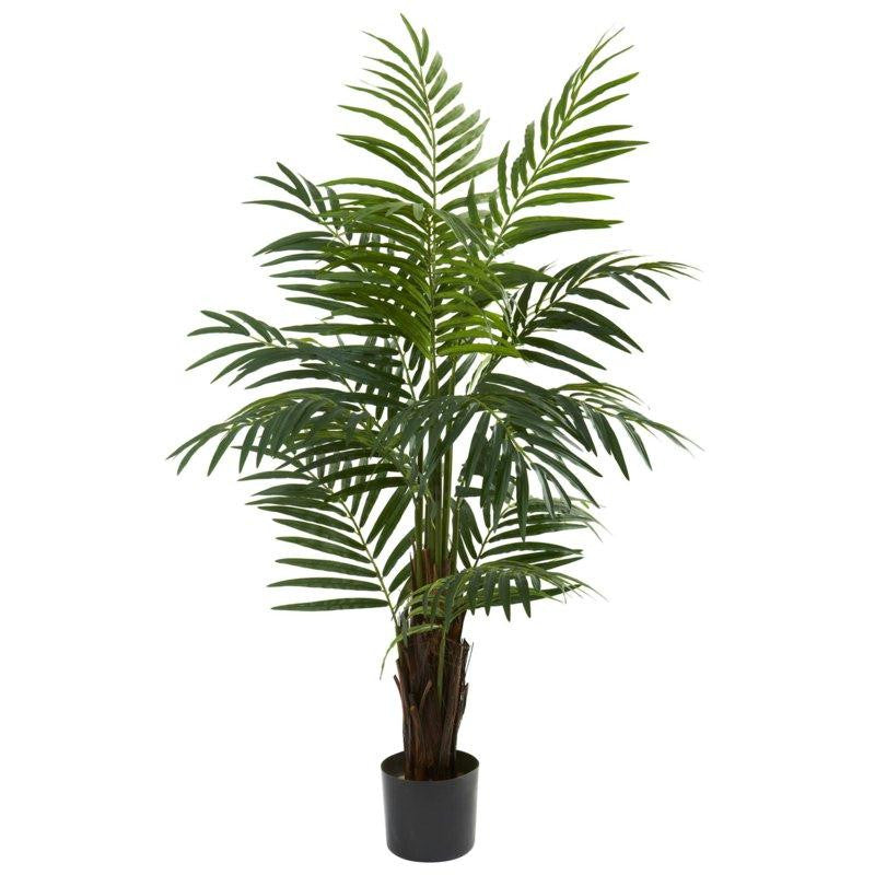 4Ft Areca Palm Tree