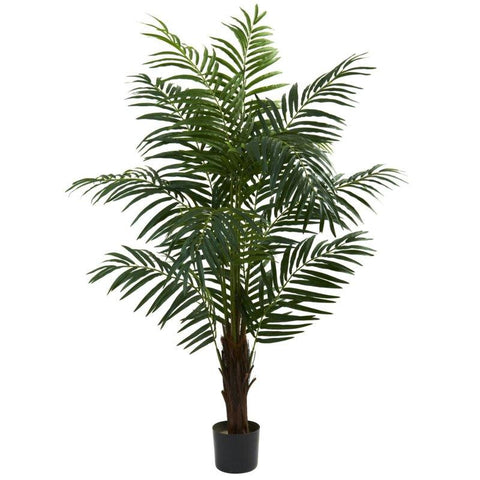 5Ft Areca Palm Tree