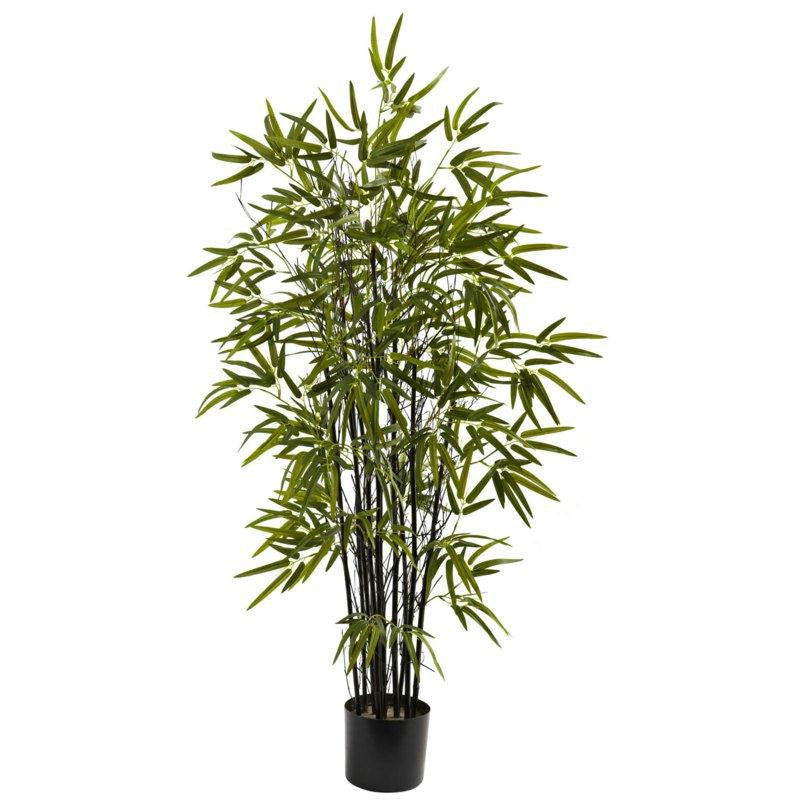 4Ft Black Bamboo Tree