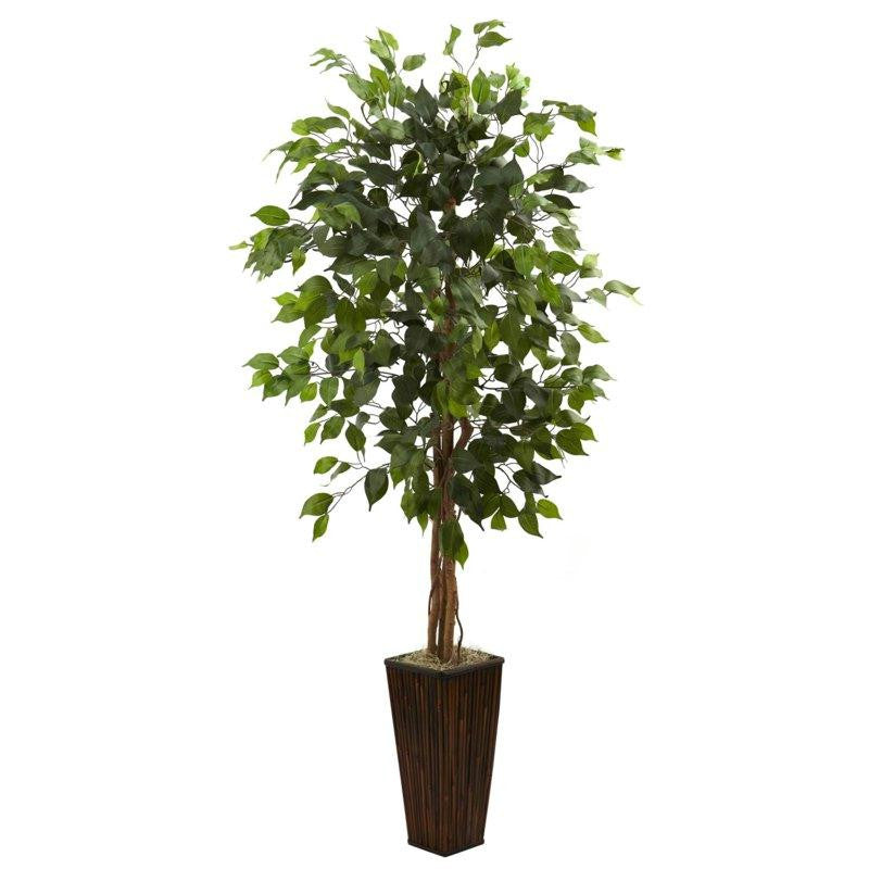 5.5Ft Ficus Tree w-Bamboo Planter