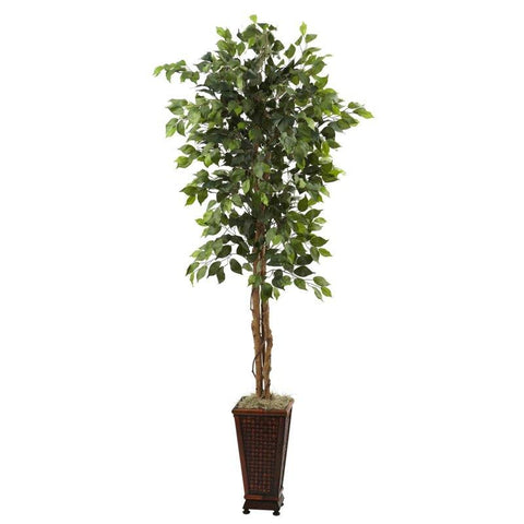 6.5Ft Ficus w-Decorative Planter