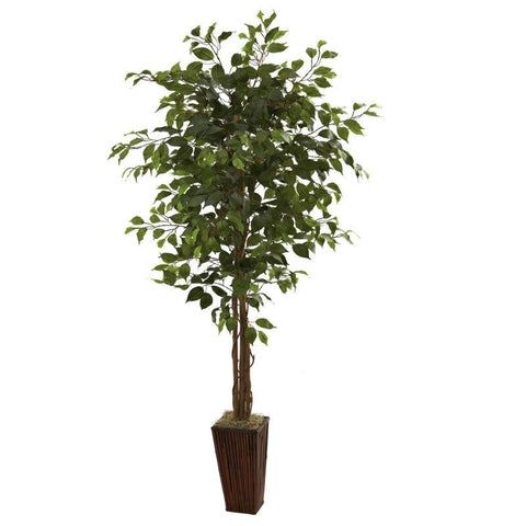 6Ft Ficus Tree w-Bamboo Planter