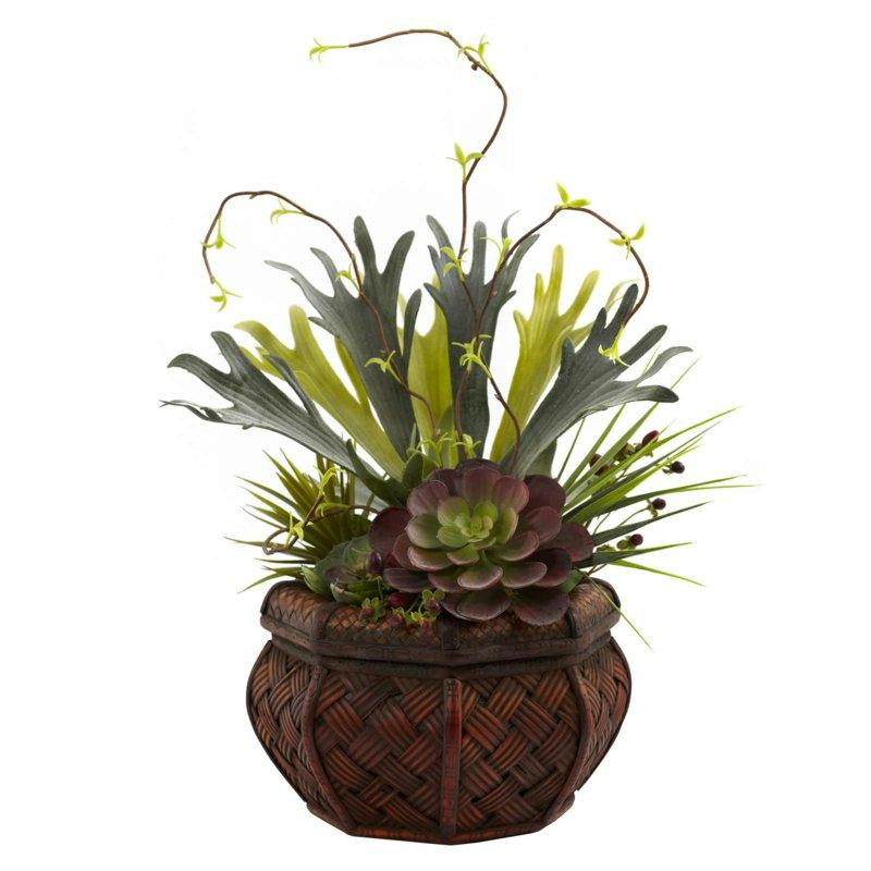 Succulent Garden w-Decorative Planter