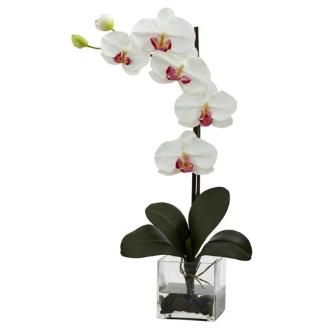 White Giant Phal Orchid w-Vase Arrangement