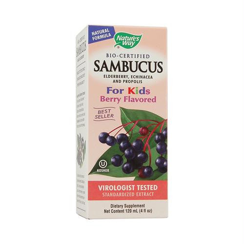 Natures Way Sambucus Kids Syrup Berry - 4 fl oz